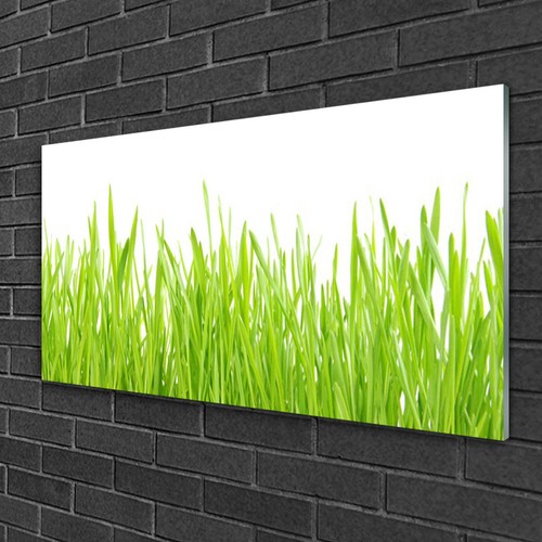 Quadri vetro 100x50 quadro - in,