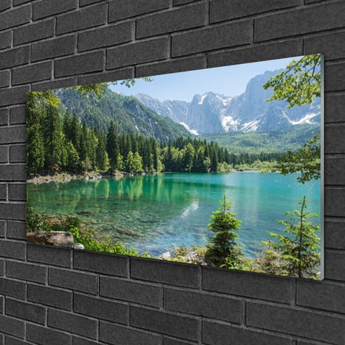 Quadri vetro 100x50 quadro - quadri,