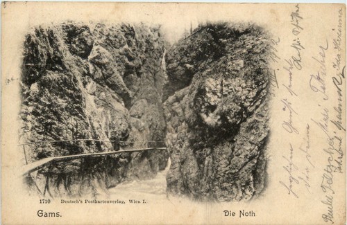 Gams die noth 352918 - noth, -352918