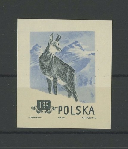 Polonia animali 1954 - polonia, prova